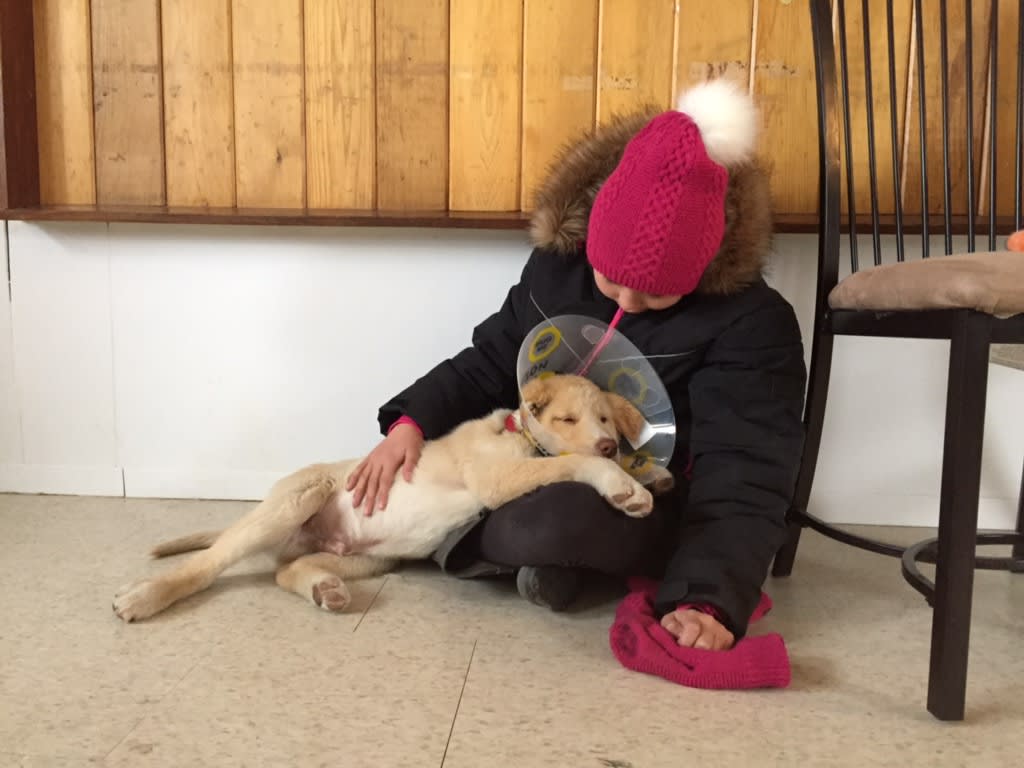 Child in northern community comforts dog post-surgery