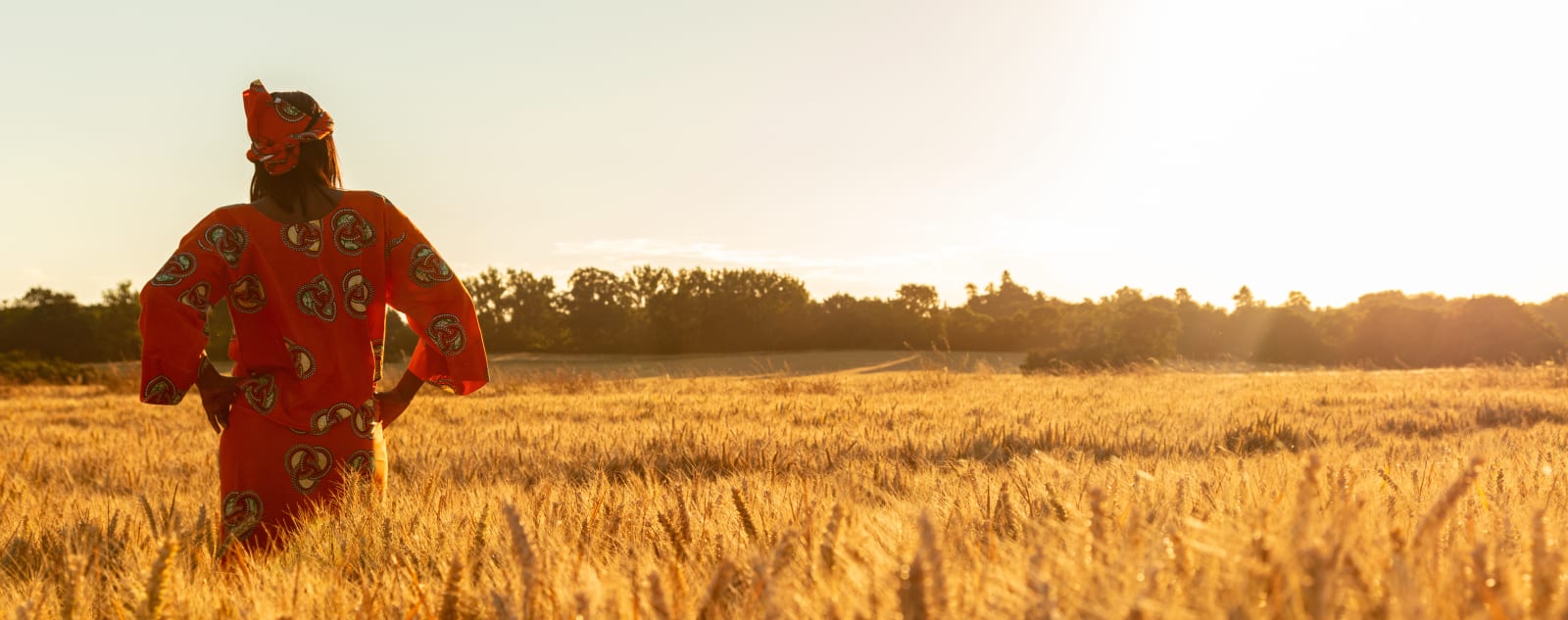 A woman in a red dress looking out into a wheat field at sunset.