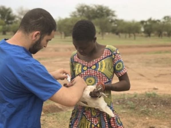 A field veterinarian administering drops to a chicken being held by a young woman. 