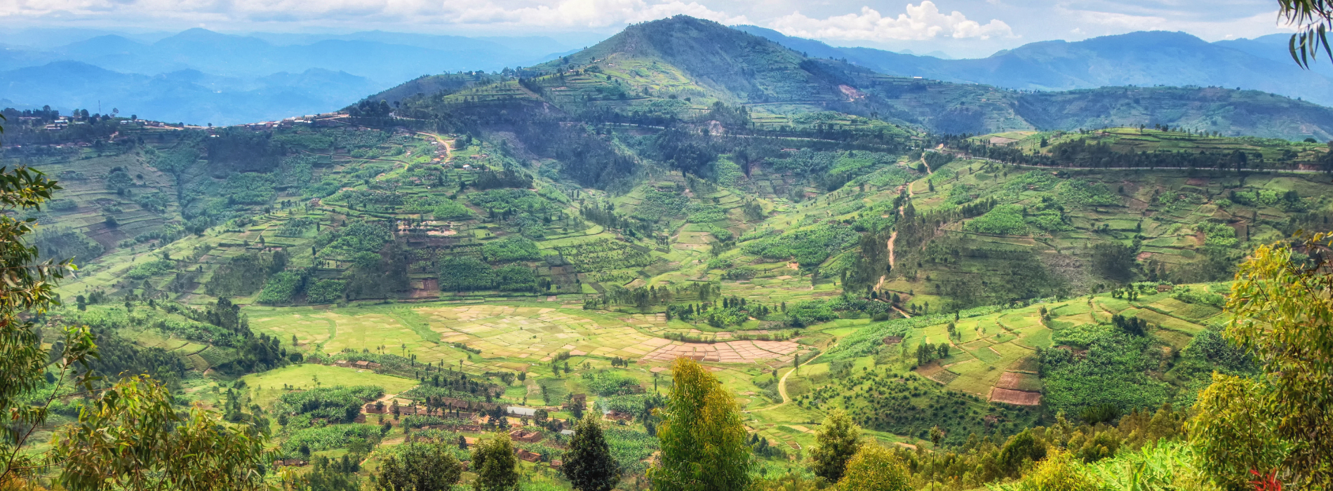 Photo of the rolling hills of Rwanda