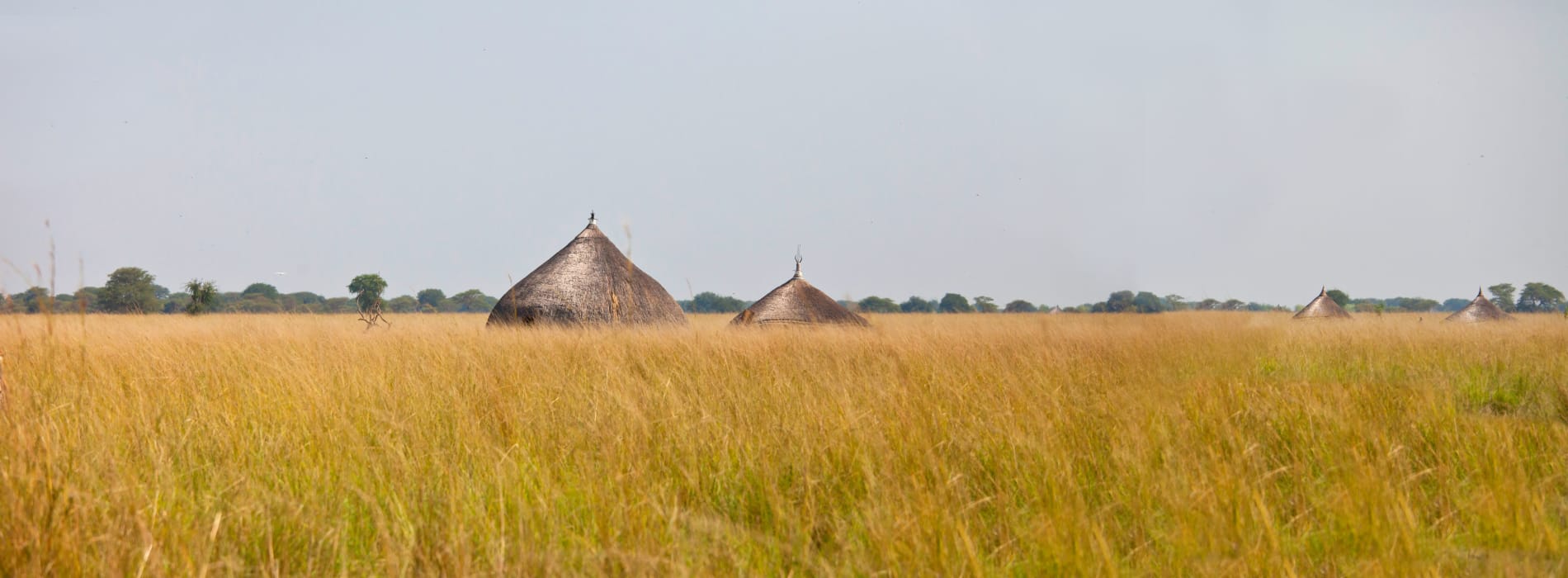 Grasslands in South Sudan with straw huts.