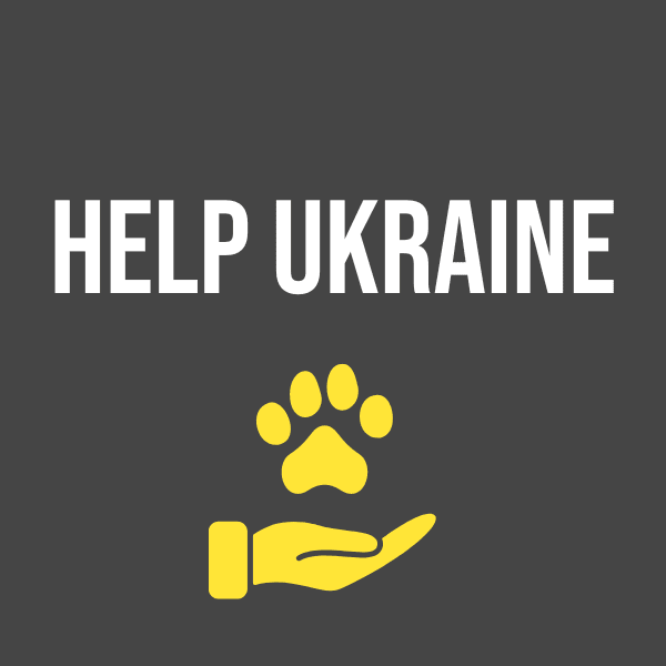 donate to ukraine