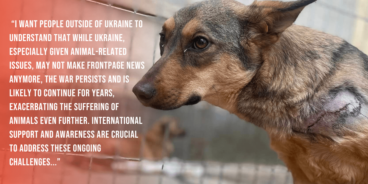 ukraine dog