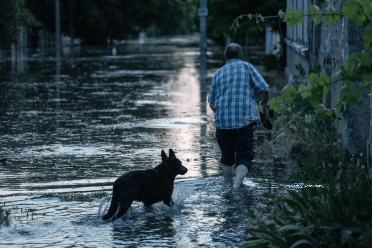 man and his dog following flood in ukraine