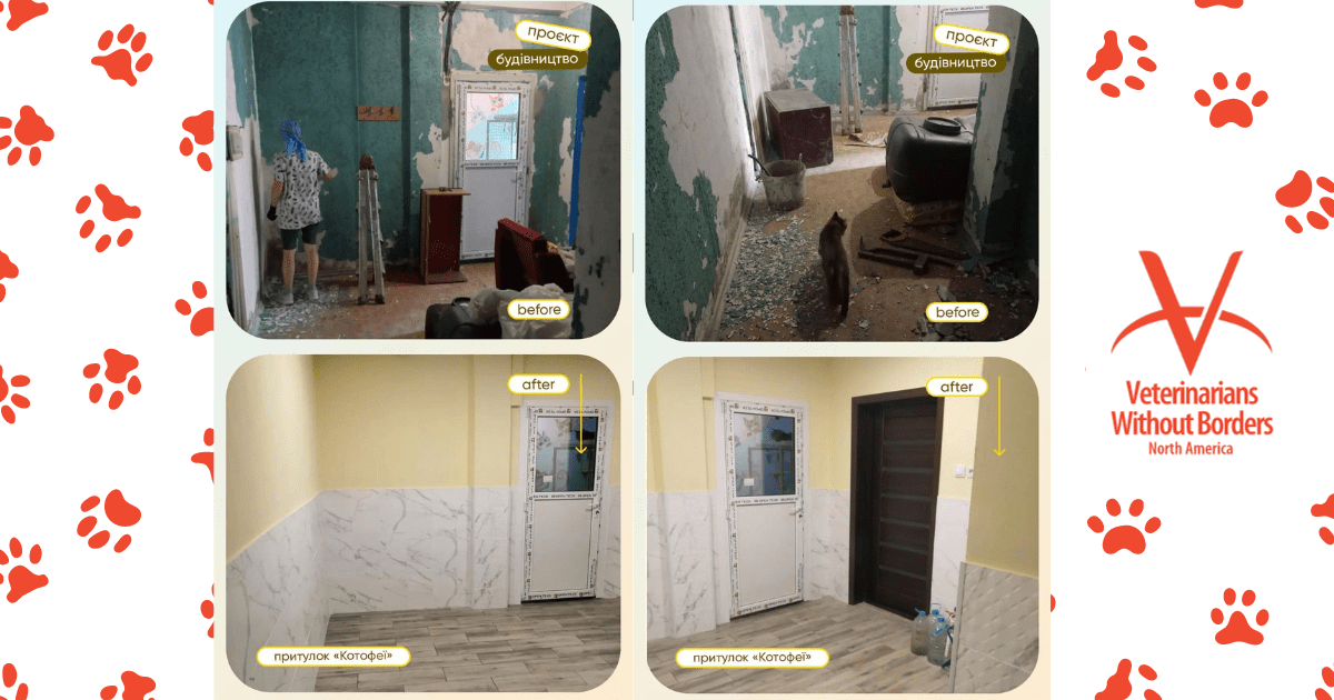 Image of before and after for Kofotei Ukraine cat shelter