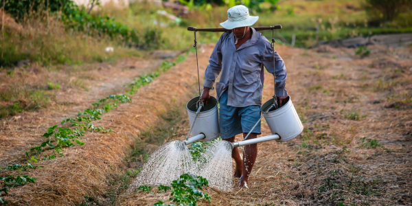 Farmer in Vietnam
