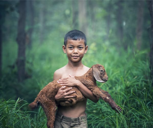 Young boy holding a baby goat with a lush tropical forest in the background